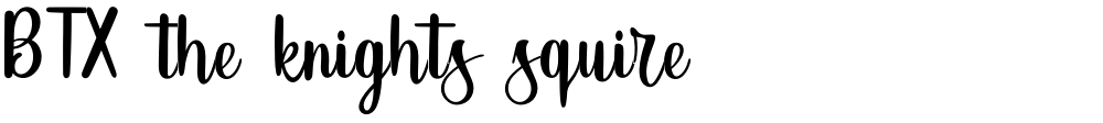 BTX-the-knights-squire