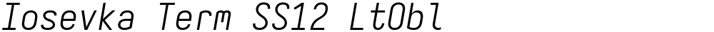 Iosevka Term SS12 LtObl