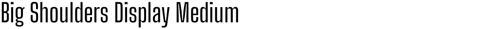 Big Shoulders Display Medium