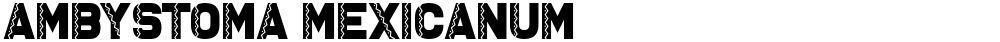Ambystoma Mexicanum