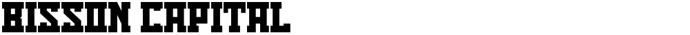Bisson Capital