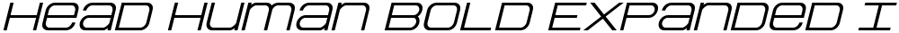 Head Human Bold Expanded Ital