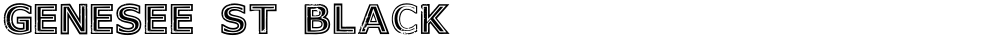 Genesee St Black