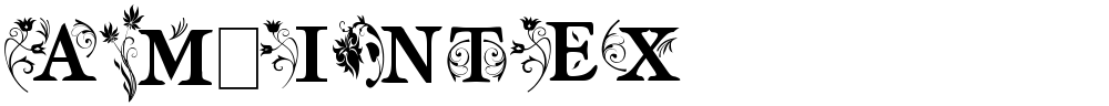 am_intex