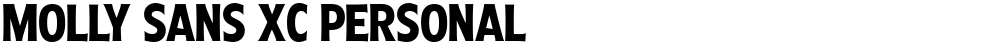 Molly Sans XC PERSONAL