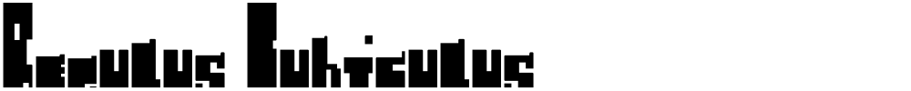 Regulus Cubiculus
