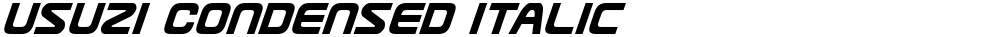 Usuzi Condensed Italic