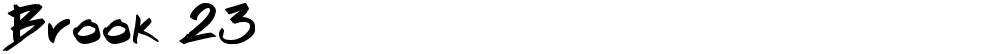 Brook 23