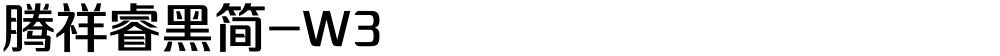 腾祥睿黑简-W3
