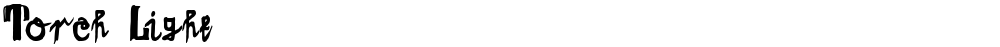 Torch Light