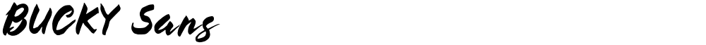 BUCKY Sans