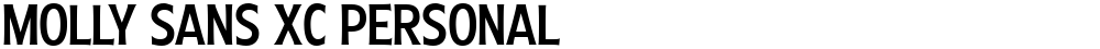Molly Sans XC PERSONAL