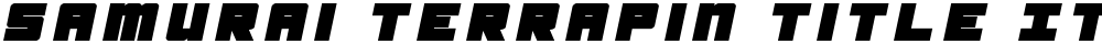 Samurai Terrapin Title Italic