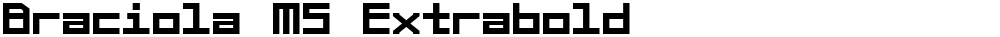 Braciola MS Extrabold