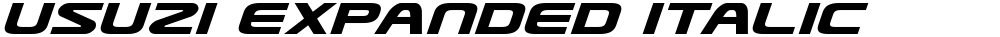 Usuzi Expanded Italic