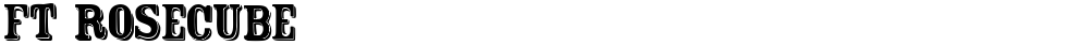 FT Rosecube