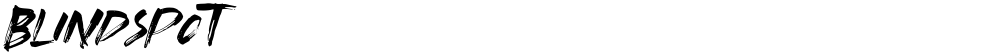Blindspot