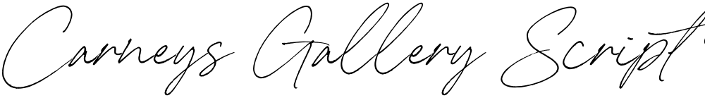 Carneys Gallery Script Demo Ver