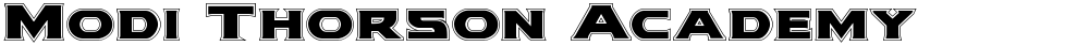Modi Thorson Academy