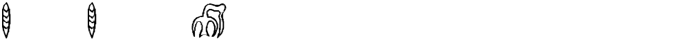 RongoRongo Glyphs