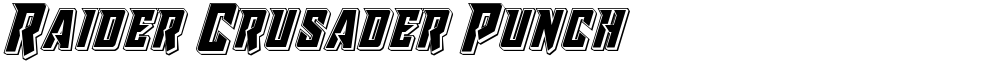 Raider Crusader Punch