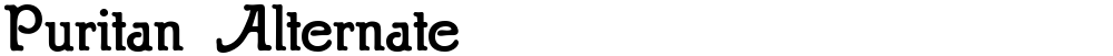 Puritan Alternate