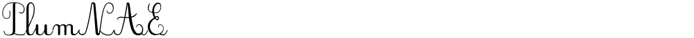 PlumNAE
