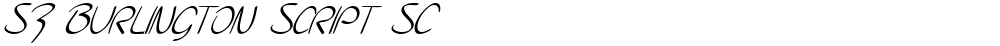 SF Burlington Script SC