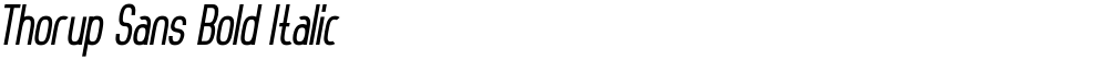 Thorup Sans Bold Italic