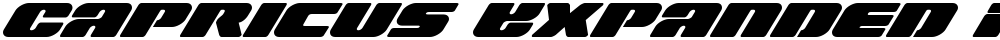 Capricus Expanded Italic