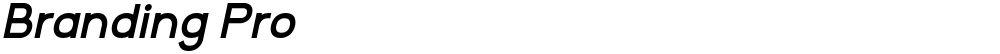 Branding Pro