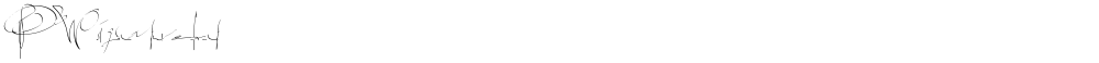 PWsignaturefont