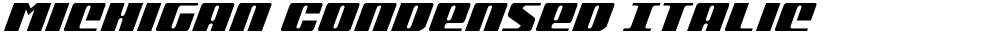 Michigan Condensed Italic