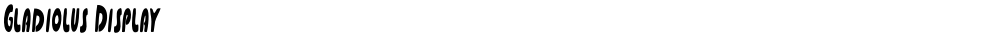 Gladiolus Display