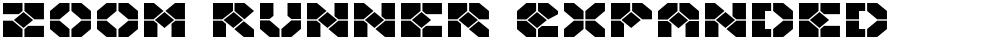 Zoom Runner Expanded