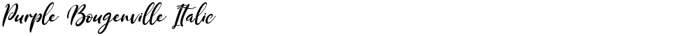 Purple Bougenville Italic