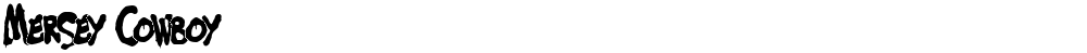 Mersey Cowboy