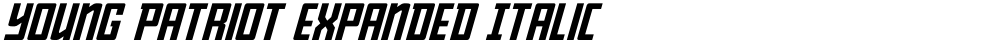 Young Patriot Expanded Italic