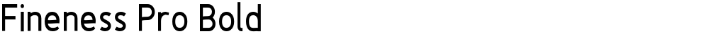 Fineness Pro Bold