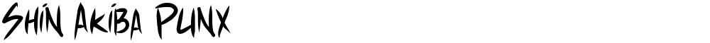 Shin Akiba Punx