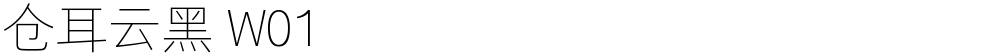 仓耳云黑 W01