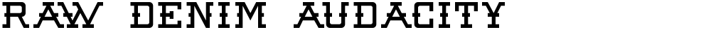 Raw Denim Audacity