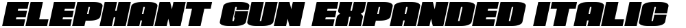 Elephant Gun Expanded Italic