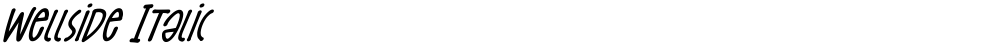 Wellside Italic