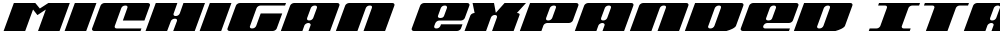Michigan Expanded Italic