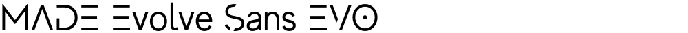 MADE Evolve Sans EVO