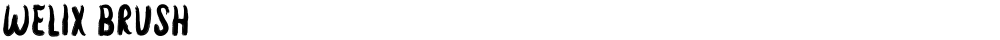 Welix Brush