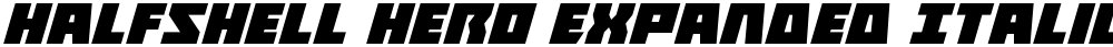 Halfshell Hero Expanded Italic