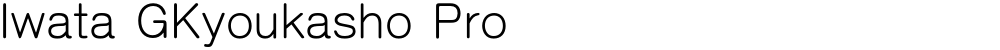 Iwata GKyoukasho Pro