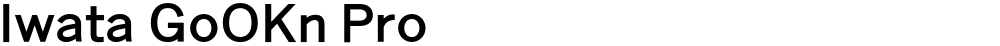 Iwata GoOKn Pro